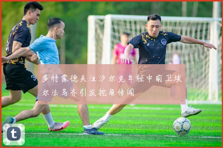 多特蒙德关注沙尔克年轻中前卫埃尔法乌齐引发挖角传闻