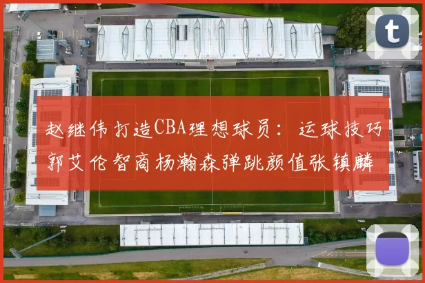 赵继伟打造CBA理想球员：运球技巧郭艾伦智商杨瀚森弹跳颜值张镇麟完美结合
