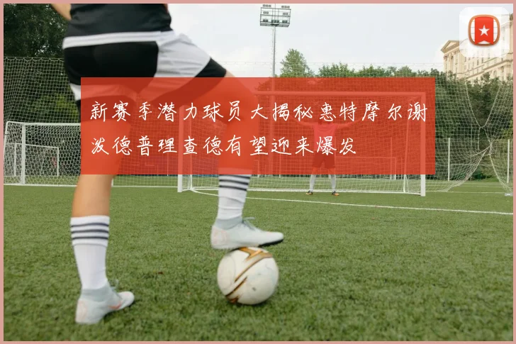 新赛季潜力球员大揭秘惠特摩尔谢泼德普理查德有望迎来爆发