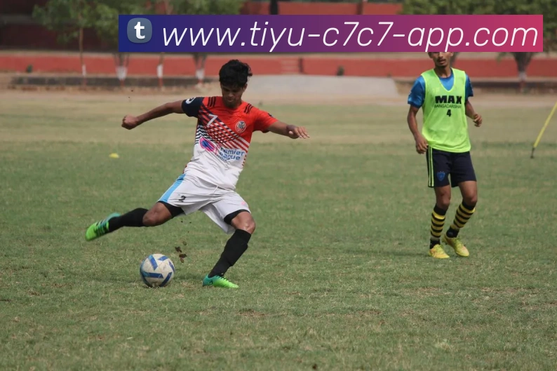 C7C7娱乐服务体系